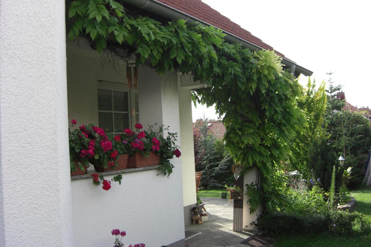 Appartement Am Goldberg Goldbach  Extérieur photo